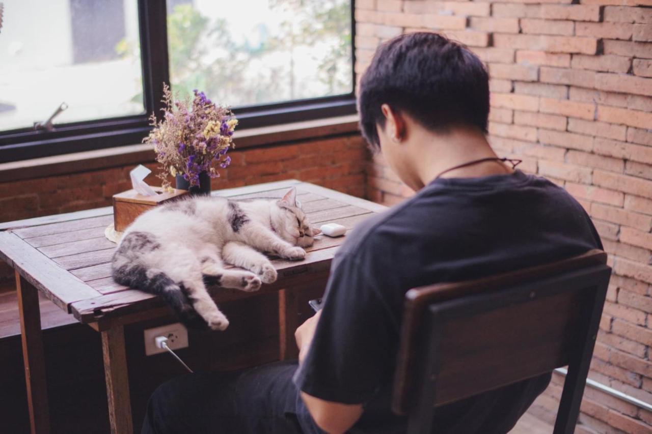 Suneta Hostel Chiangmai Chiang Mai Zewnętrze zdjęcie